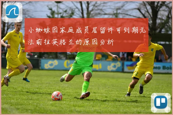 小蜘蛛因家庭成员居留许可到期无法前往英格兰的原因分析