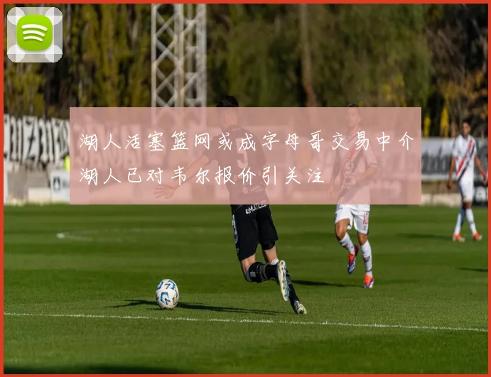 湖人活塞篮网或成字母哥交易中介湖人已对韦尔报价引关注