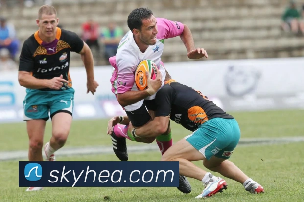 奖项证书